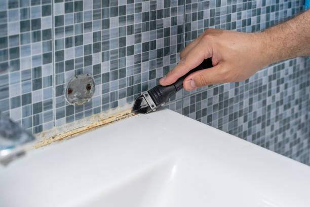 Best Mold Remediation  in Round Lake Park, IL
